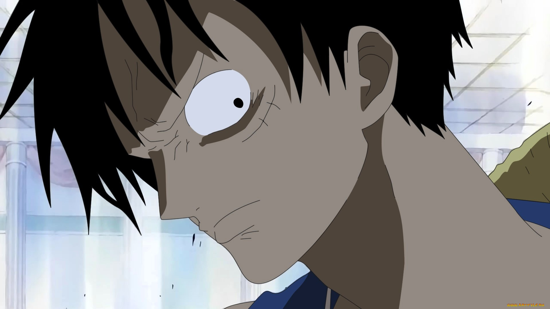 , one piece, , , 